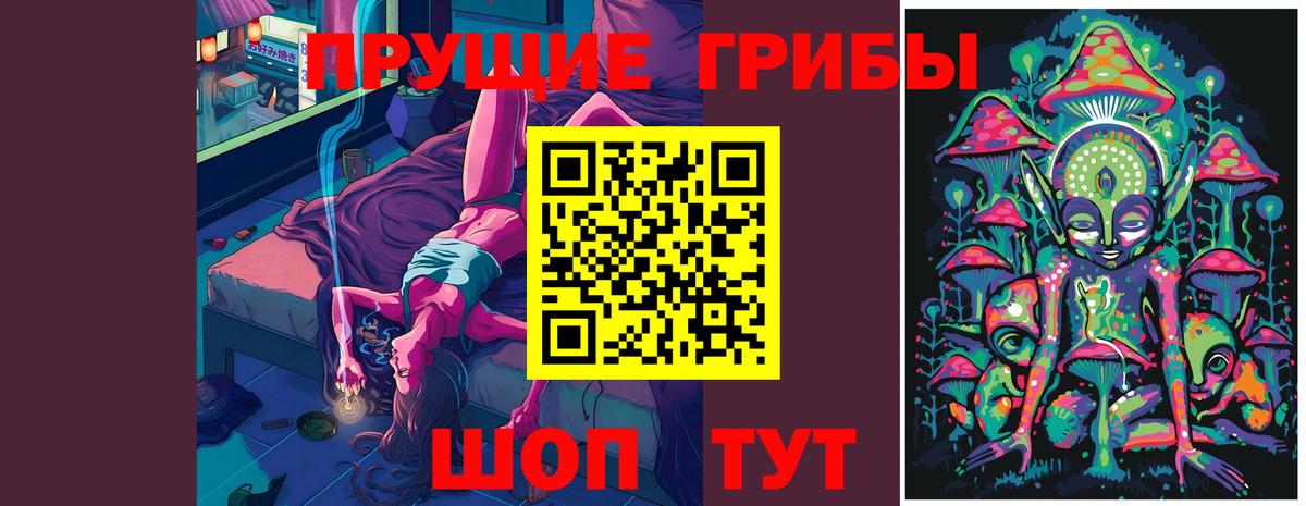 Галлюциногенные грибы мухоморы  Вход с VPN  Санкт-Петербург  Галлюциногенные грибы мицелий 